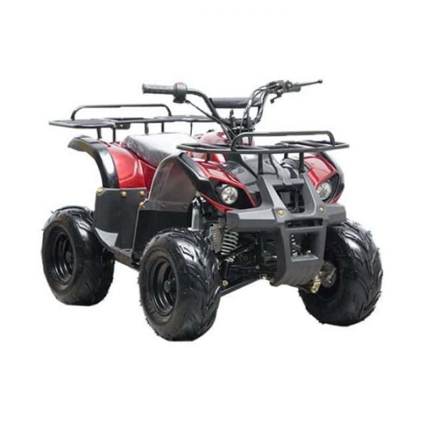 Electric ATV DACHNIK-01U