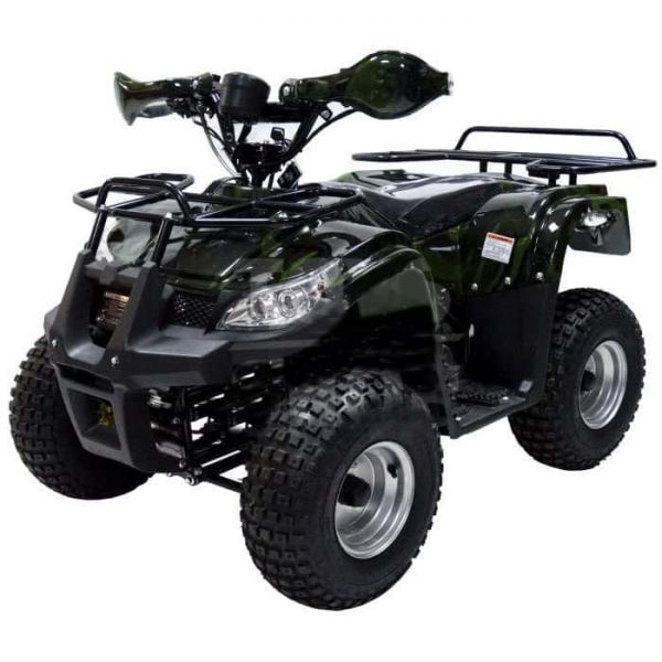 Electric ATV MYTOY 1000W QUAD