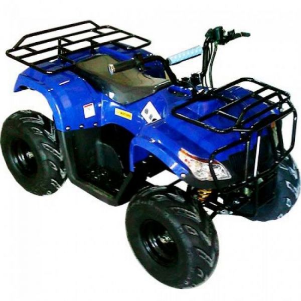 Electric quad bike ATV 218