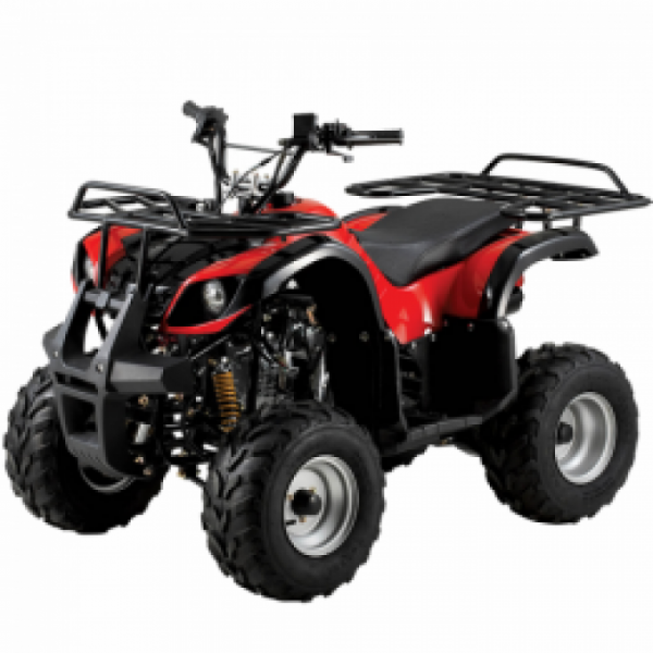 Electric ATV SHERHAN 800