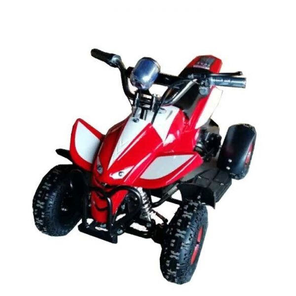 Electric ATV GreenCamel Gobi K11 350W