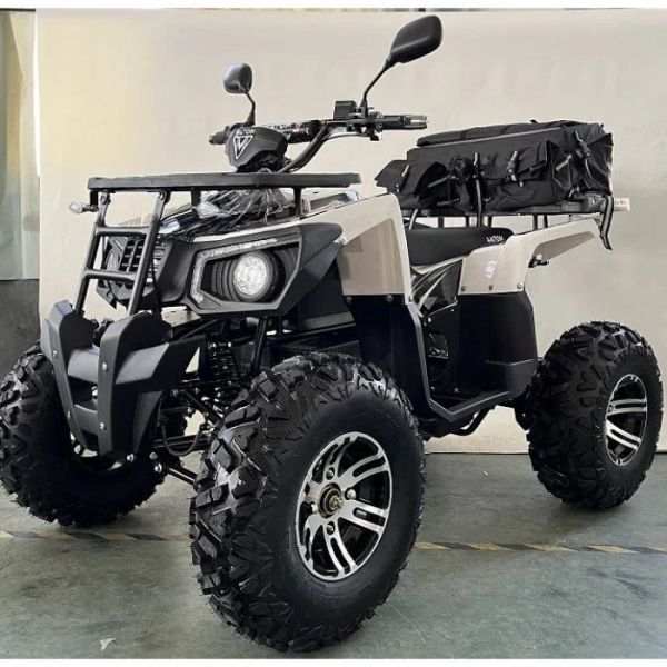 Teenage electric ATV MOTAX ATV GRIZLIK E3000 4WD